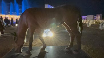 東京メガイルミに投稿された画像（2023/12/23）