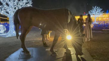 東京メガイルミに投稿された画像（2023/12/23）