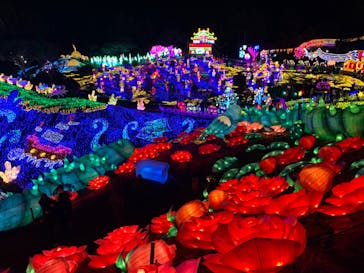 伊豆ぐらんぱる公園に投稿された画像（2023/12/23）