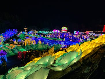 伊豆ぐらんぱる公園に投稿された画像（2023/12/23）