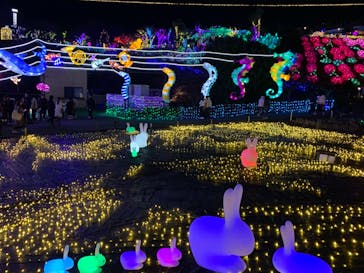 伊豆ぐらんぱる公園に投稿された画像（2023/12/23）