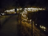 KYOTO ILLUMINATION SYNESTHESIA HILLS るり渓温泉に投稿された画像（2023/12/23）
