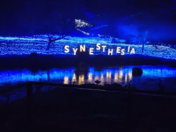 KYOTO ILLUMINATION SYNESTHESIA HILLS るり渓温泉に投稿された画像（2023/12/23）