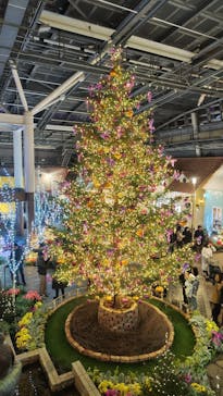 安城産業文化公園デンパークに投稿された画像（2023/12/23）