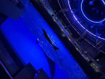 マクセル アクアパーク品川に投稿された画像（2023/12/23）