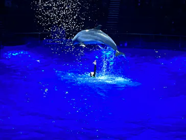 マクセル アクアパーク品川に投稿された画像（2023/12/23）