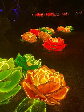 体験王国 むら咲むらに投稿された画像（2023/12/23）