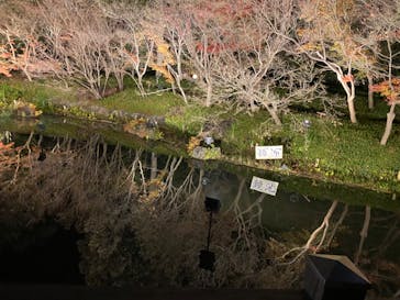 なばなの里に投稿された画像（2023/12/23）