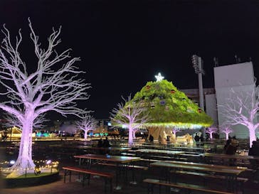 東京メガイルミに投稿された画像（2023/12/23）