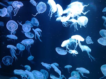 AOAO SAPPOROに投稿された画像（2023/12/23）