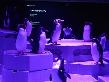 AOAO SAPPOROに投稿された画像（2023/12/23）