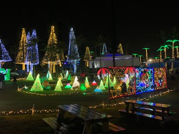 美らヤシパークオキナワ・東南植物楽園に投稿された画像（2023/12/23）