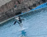 名古屋港水族館に投稿された画像（2023/12/24）