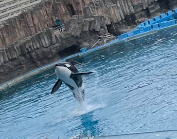 名古屋港水族館に投稿された画像（2023/12/23）