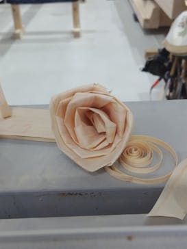 首里城公園 有料区域に投稿された画像（2023/12/23）