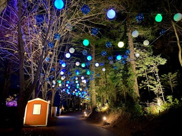 ムーミンバレーパークに投稿された画像（2023/12/23）