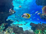 サンシャイン水族館に投稿された画像（2023/12/24）