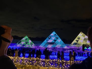 なばなの里に投稿された画像（2023/12/24）