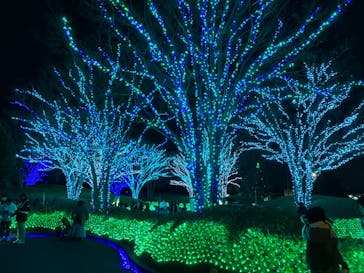 なばなの里に投稿された画像（2023/12/24）