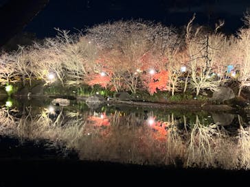 なばなの里に投稿された画像（2023/12/24）