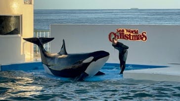 鴨川シーワールドに投稿された画像（2023/12/24）