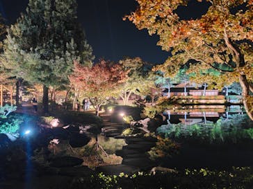 国営昭和記念公園 秋の夜散歩に投稿された画像（2023/12/24）