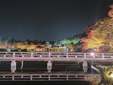 国営昭和記念公園 秋の夜散歩に投稿された画像（2023/12/24）