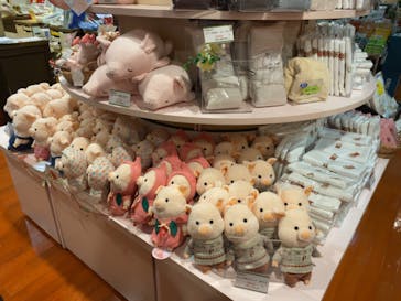 天然温泉 花鳥風月に投稿された画像（2023/12/24）