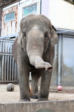 宇都宮動物園に投稿された画像（2023/12/24）