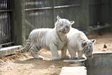宇都宮動物園に投稿された画像（2023/12/24）