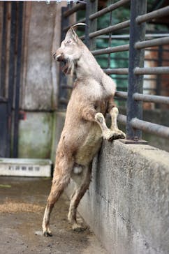 宇都宮動物園に投稿された画像（2023/12/24）