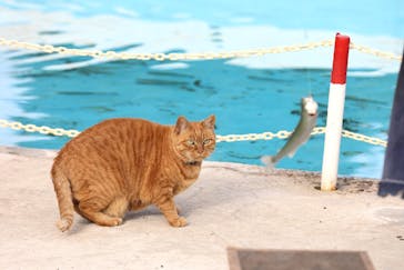 宇都宮動物園に投稿された画像（2023/12/24）