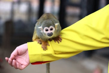 宇都宮動物園に投稿された画像（2023/12/24）