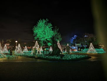 なばなの里に投稿された画像（2023/12/24）