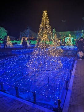 なばなの里に投稿された画像（2023/12/24）