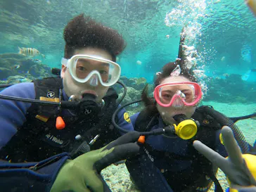 武藤潜水に投稿された画像（2023/12/24）