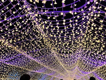 東京メガイルミに投稿された画像（2023/12/24）