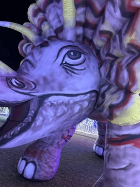 鹿児島イルミナージュに投稿された画像（2023/12/24）