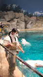 名古屋港水族館に投稿された画像（2023/12/24）