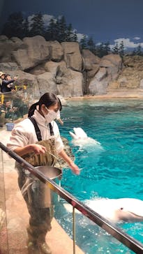 名古屋港水族館に投稿された画像（2023/12/24）