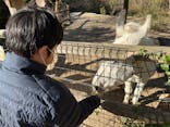 しろとり動物園に投稿された画像（2023/12/24）