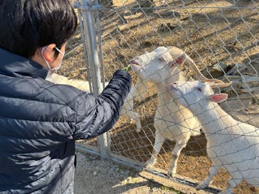 しろとり動物園に投稿された画像（2023/12/24）