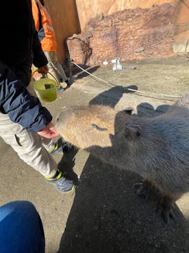 しろとり動物園に投稿された画像（2023/12/24）