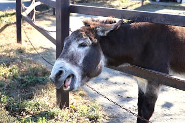 群馬サファリパークに投稿された画像（2023/12/24）
