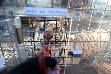 群馬サファリパークに投稿された画像（2023/12/24）