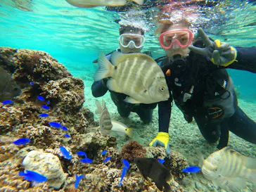 武藤潜水に投稿された画像（2023/12/24）