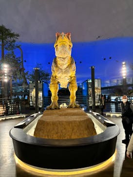 福井県立恐竜博物館に投稿された画像（2023/12/24）