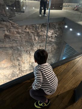 福井県立恐竜博物館に投稿された画像（2023/12/24）