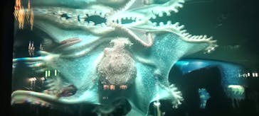 サンシャイン水族館に投稿された画像（2023/12/24）