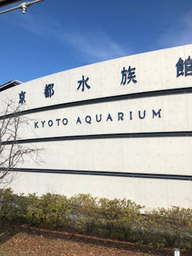 京都水族館に投稿された画像（2023/12/24）